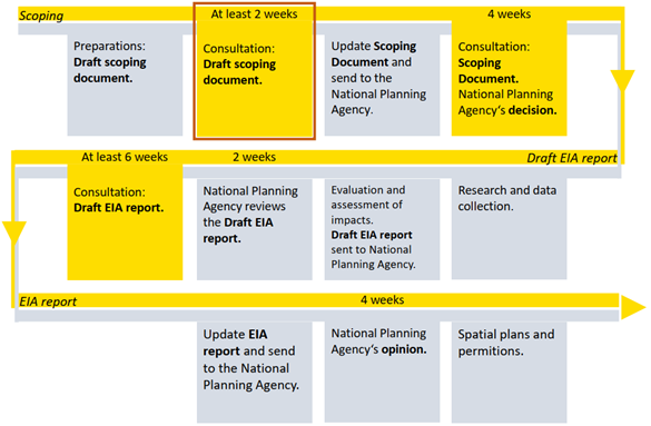 Figure 1 – Steps of the environmental impact assessment (EIA)